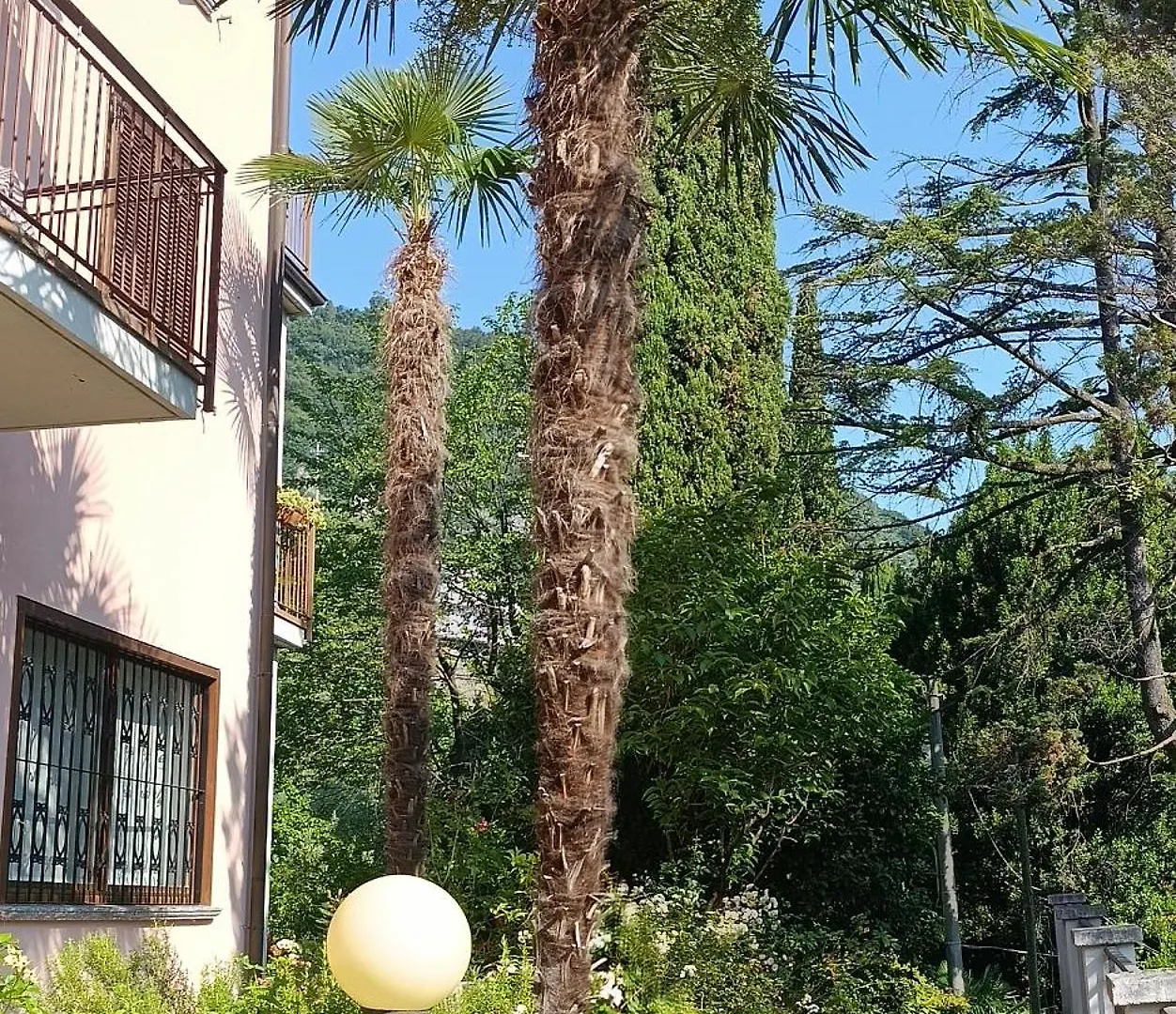 Portico Sul Lago Oliveto Lario 0*,