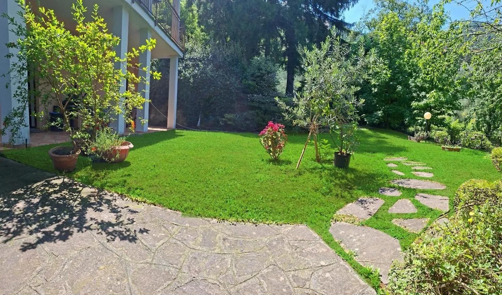 Portico Sul Lago Oliveto Lario Apartment